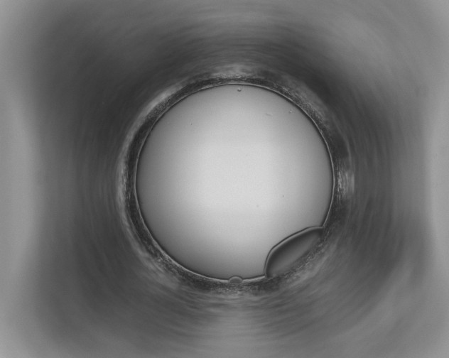 X0000113040724200908271034