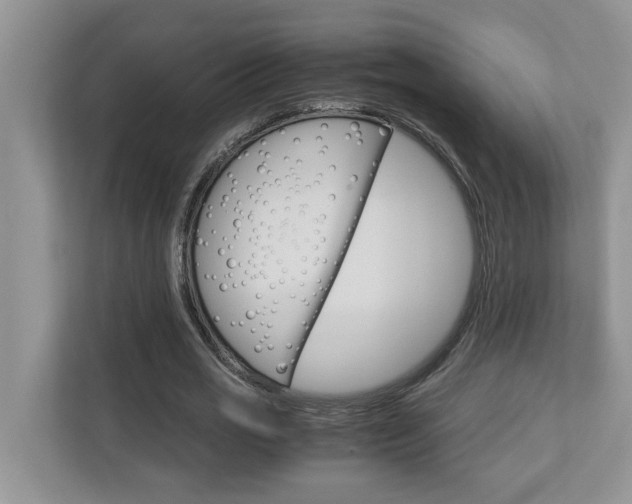 X0000113040725200908271034