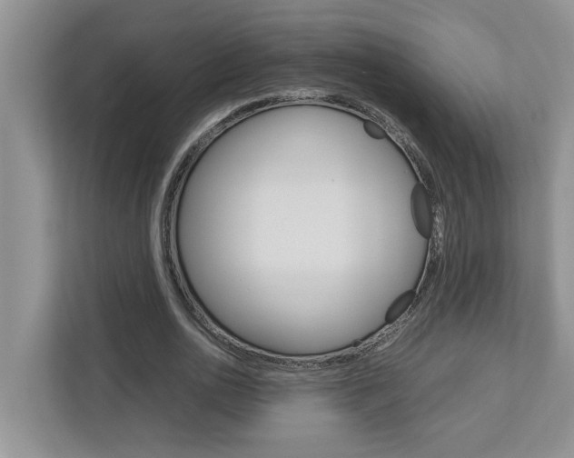 X0000113040726200908271034