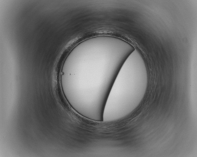 X0000113040727200908271034