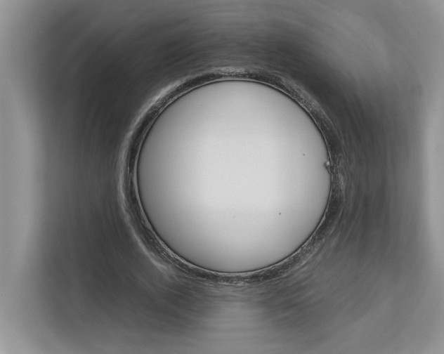 X0000113040728200908271034