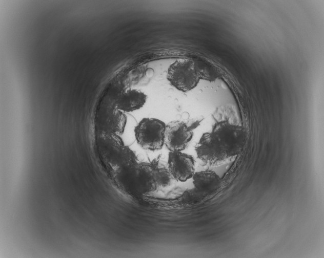 X0000113040729200908271034