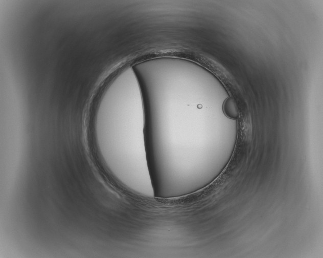 X0000113040732200908271034