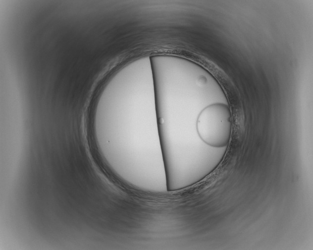X0000113040734200908271034