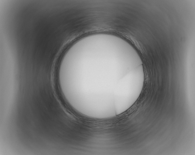 X0000113040736200908271034