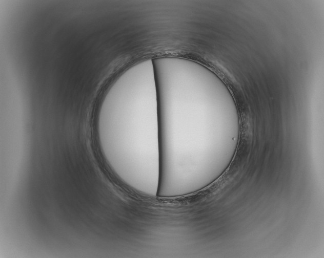 X0000113040738200908271034