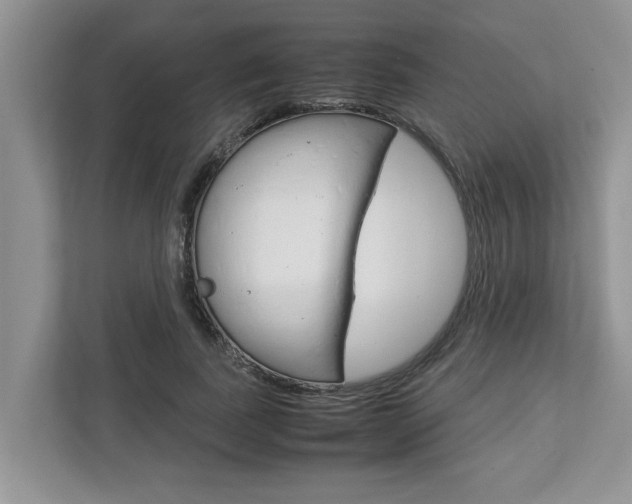 X0000113040739200908271034