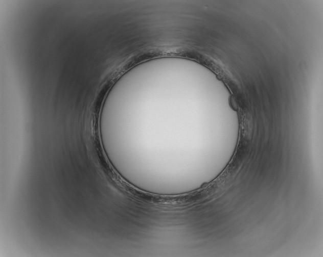 X0000113040740200908271034