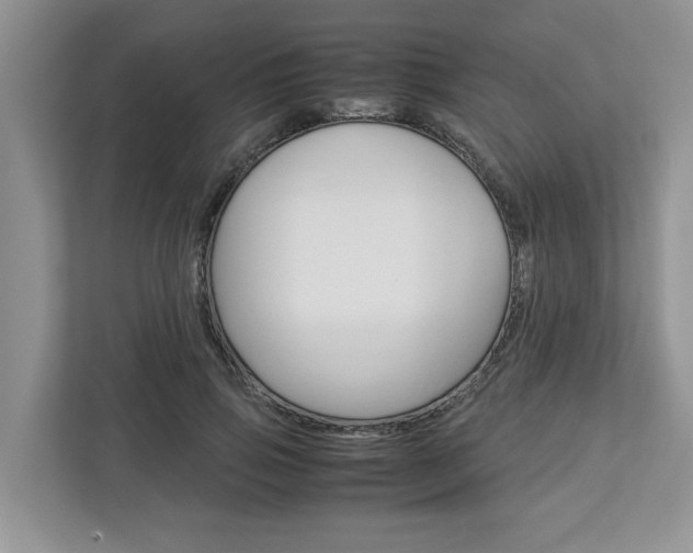 X0000113040741200908271034