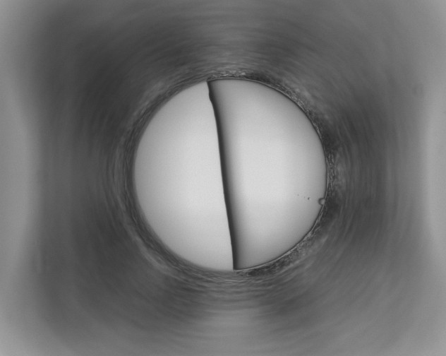 X0000113040742200908271034