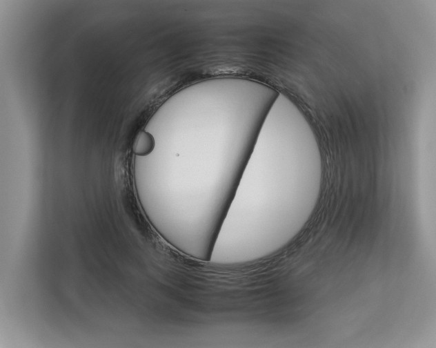 X0000113040743200908271034