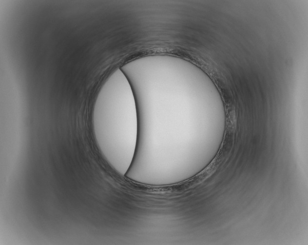 X0000113040746200908271034