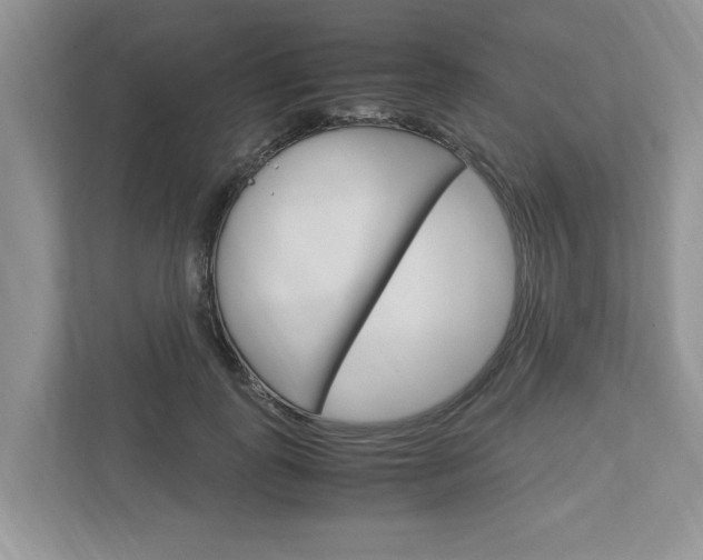 X0000113040747200908271034