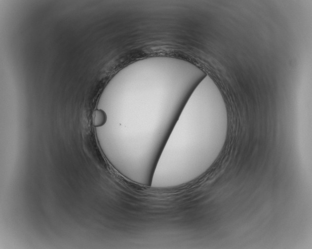 X0000113040751200908271034