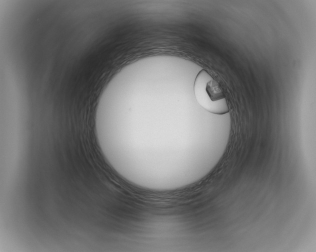 X0000113040752200908271034