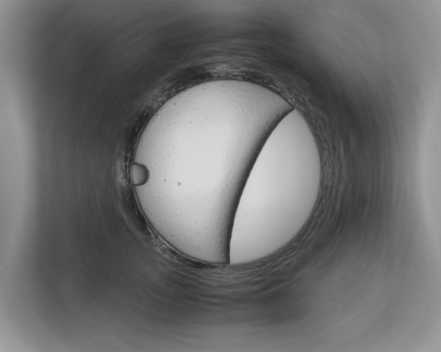 X0000113040755200908271034