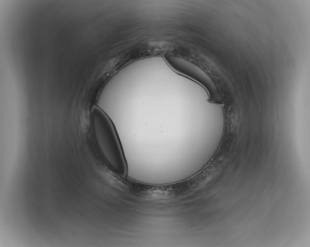 X0000113040756200908271034
