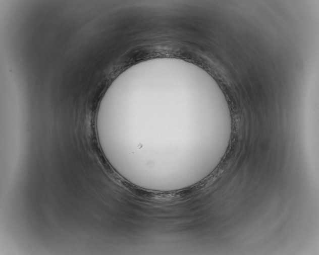 X0000113040757200908271034