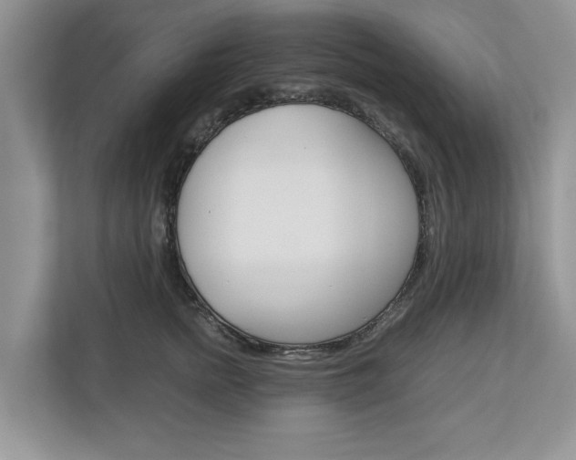 X0000113040758200908271034