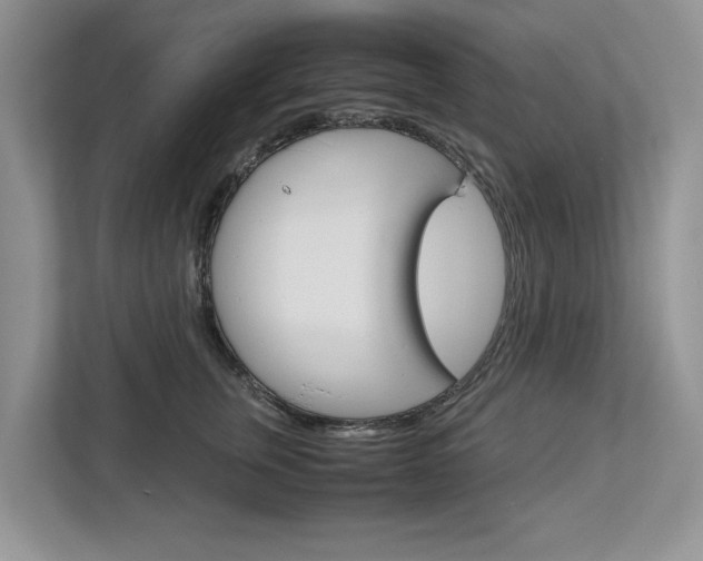 X0000113040759200908271034