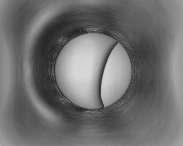 X0000113040763200908271034
