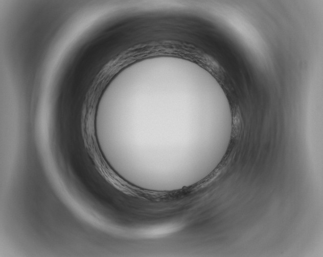 X0000113040765200908271034