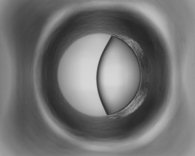 X0000113040766200908271034