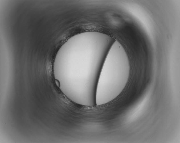 X0000113040767200908271034