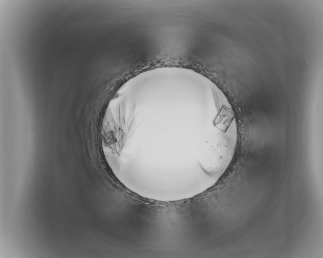 X0000113040769200908271034