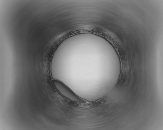 X0000113040773200908271034