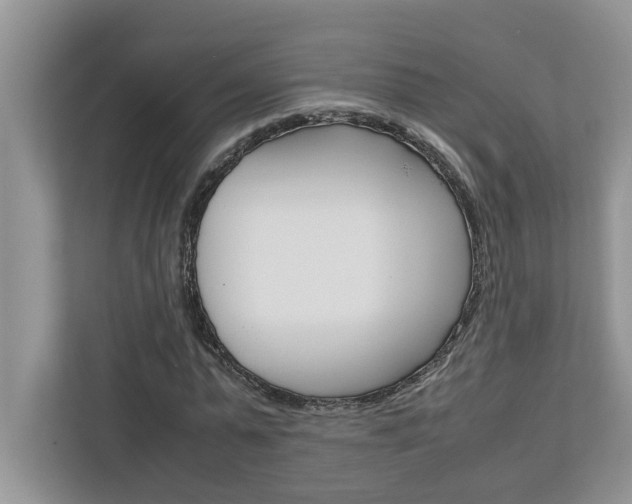 X0000113040775200908271034