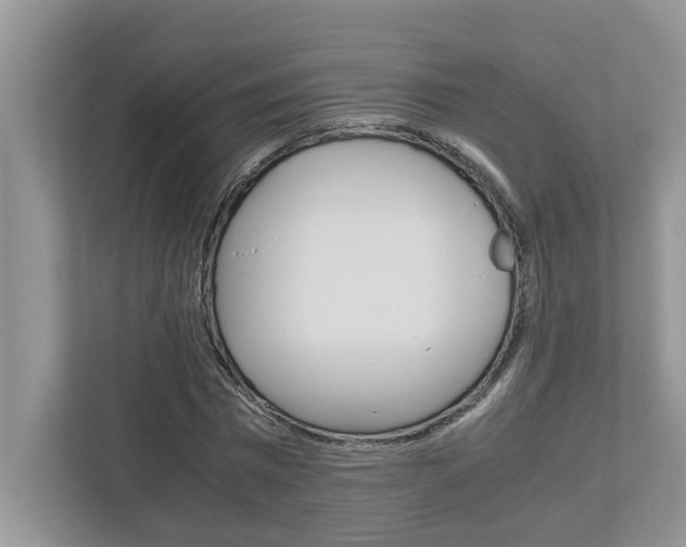 X0000113040777200908271034