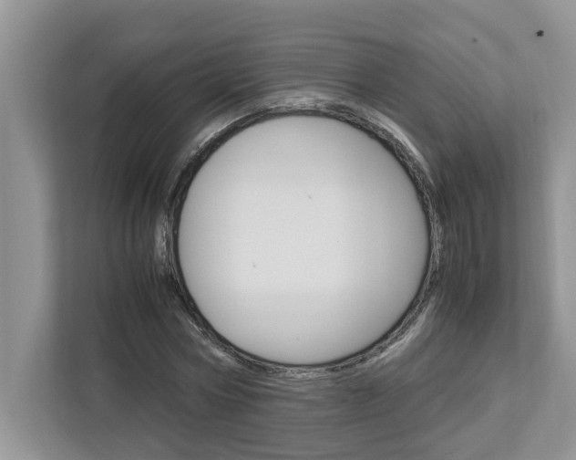 X0000113040778200908271034