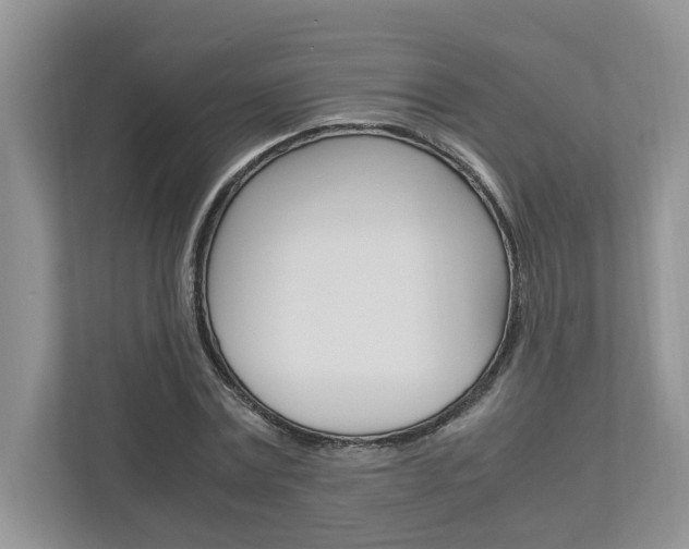 X0000113040779200908271034