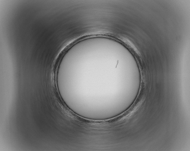 X0000113040781200908271034