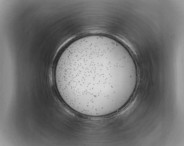 X0000113040782200908271034