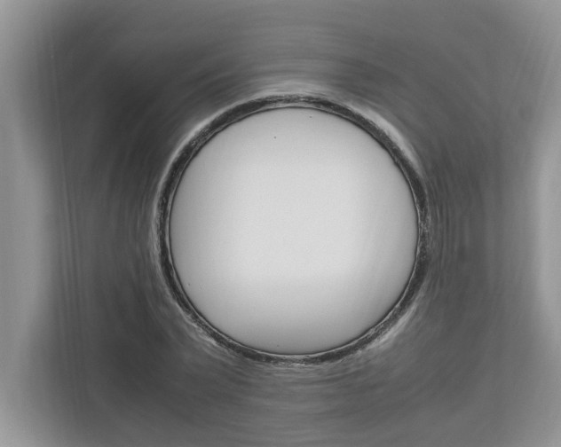 X0000113040783200908271034