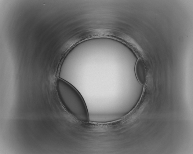 X0000113040785200908271033