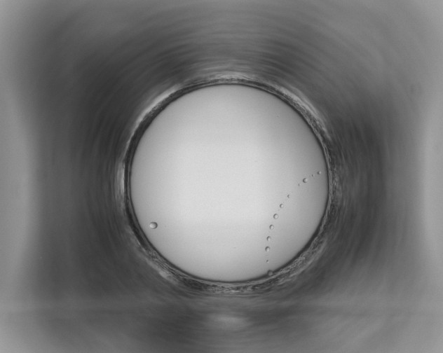 X0000113040790200908271033