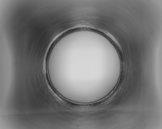 X0000113040791200908271033