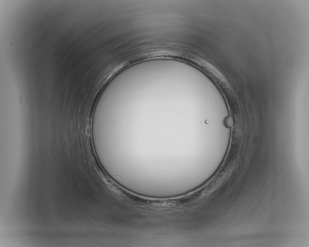 X0000113040793200908271033