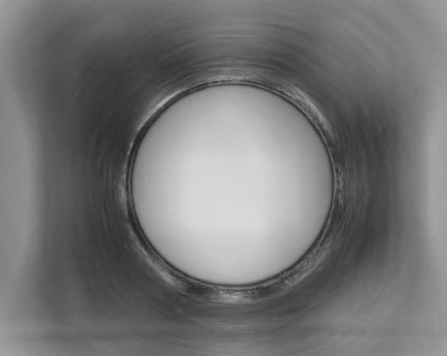 X0000113040794200908271033