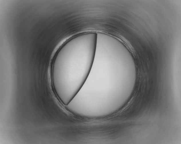 X0000113040796200908271033