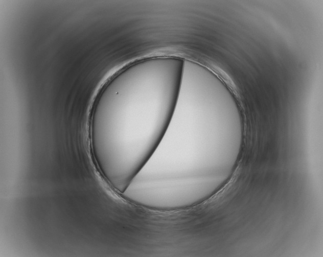 X0000113040800200908271033