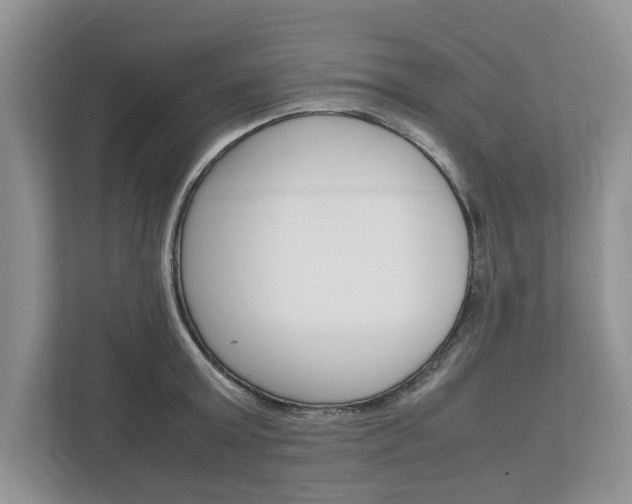X0000113040803200908271033