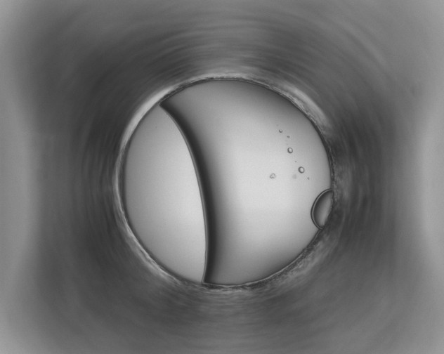 X0000113040804200908271033