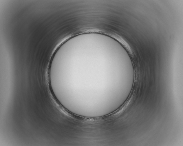 X0000113040806200908271033