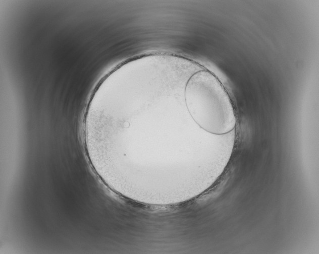 X0000113040807200908271033
