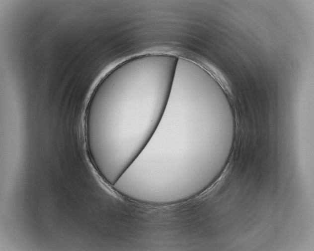 X0000113040808200908271033