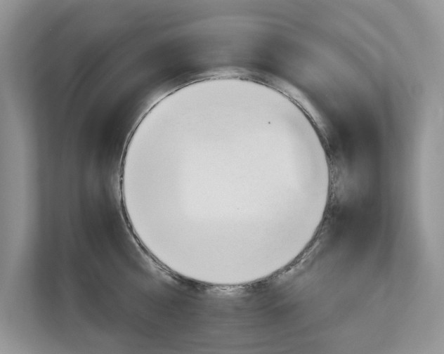 X0000113040810200908271033